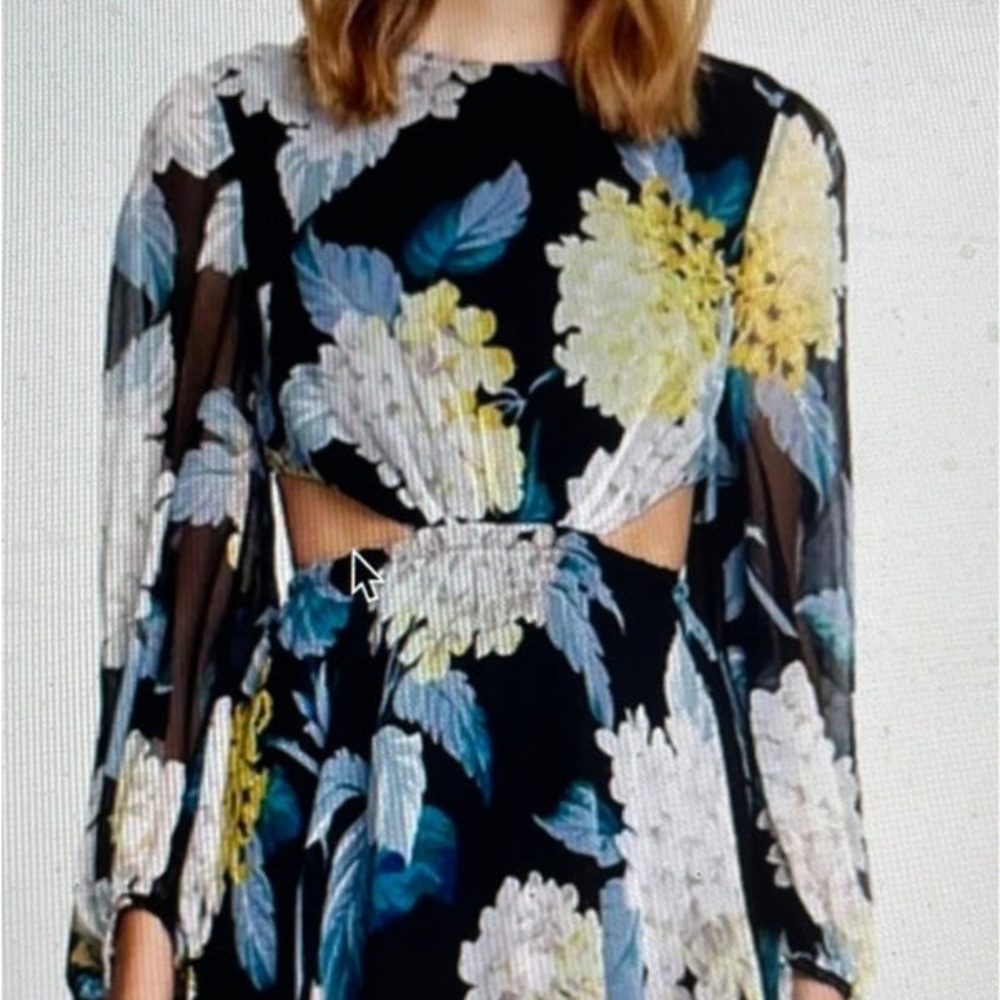 Alice McCall Wild Frontier Mini Dress With Cut Outs